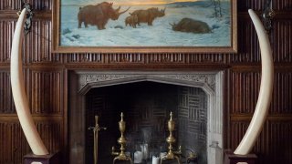 Най-готините артефакти в Клубът на изследователя