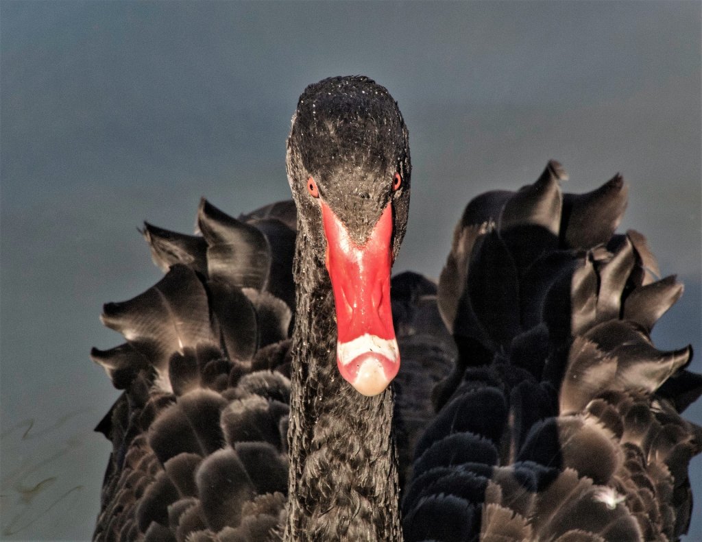 bruce-jastrow-VHtJDu0IPw4-unsplash