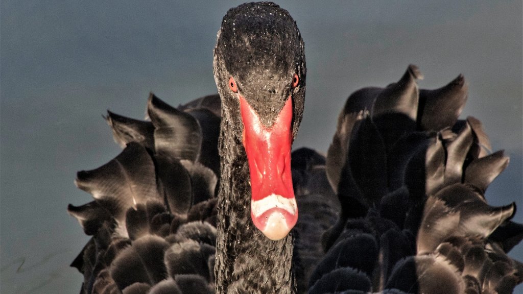 bruce-jastrow-VHtJDu0IPw4-unsplash