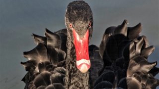 bruce-jastrow-VHtJDu0IPw4-unsplash