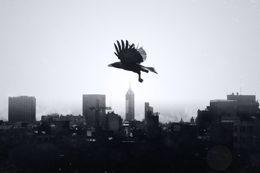 luis-dominguez-JkrU7vp6Gko-unsplash