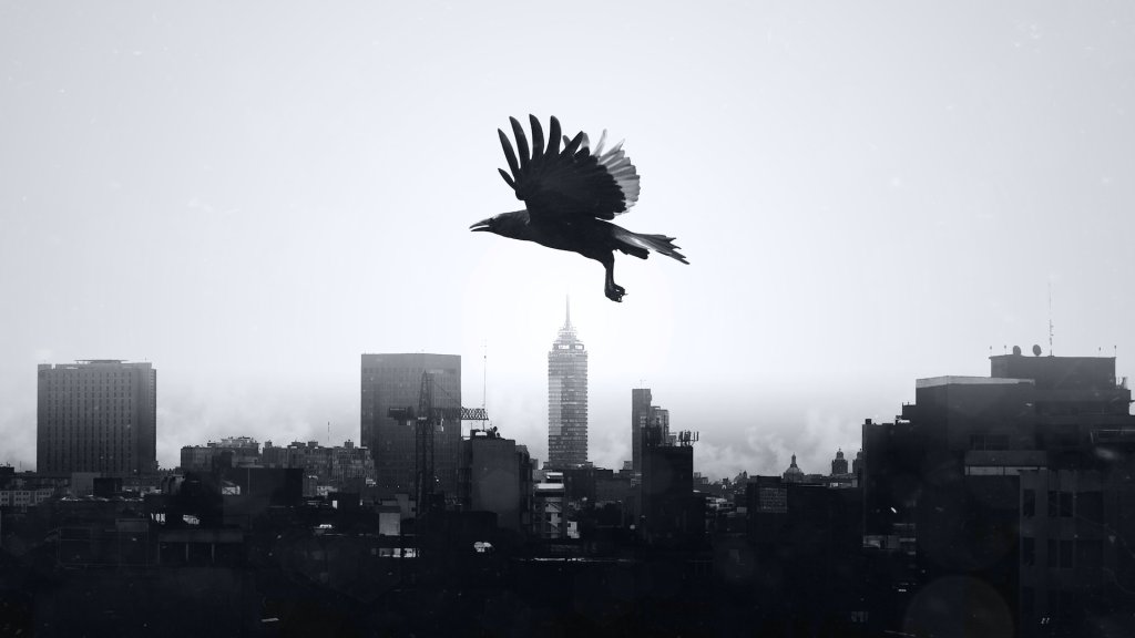 luis-dominguez-JkrU7vp6Gko-unsplash