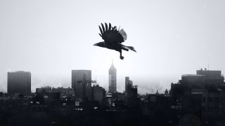 luis-dominguez-JkrU7vp6Gko-unsplash