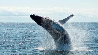 todd-cravens-QnBrjY-nFUs-unsplash