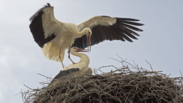 Усложнена е пътната обстановка заради студа и снега