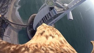 flight15e