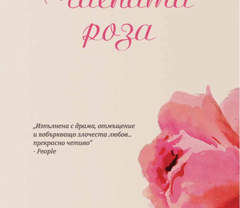Първи роман