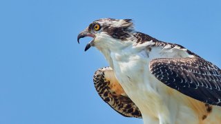 jongsun-lee-816pShRamYQ-unsplash