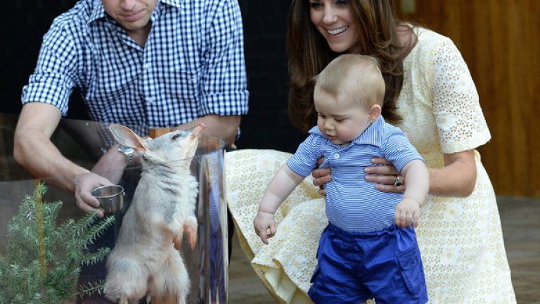 Първото дете на Уилям и Кейт се роди през лятото на 2013 година