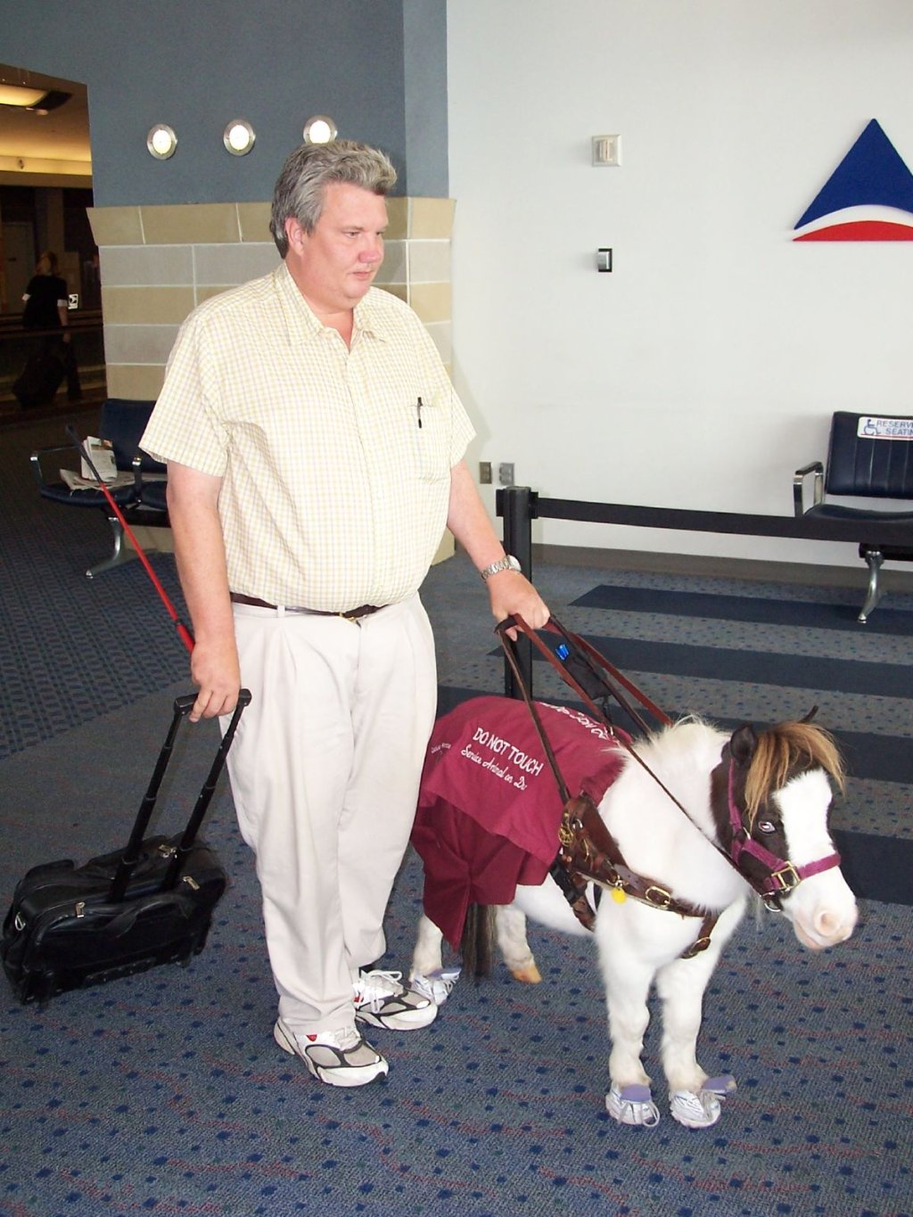 Guide_horse