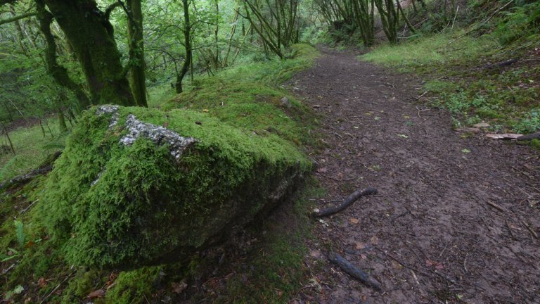 Кардинъм Уудс е популарно място за разходки и спорт на открито.