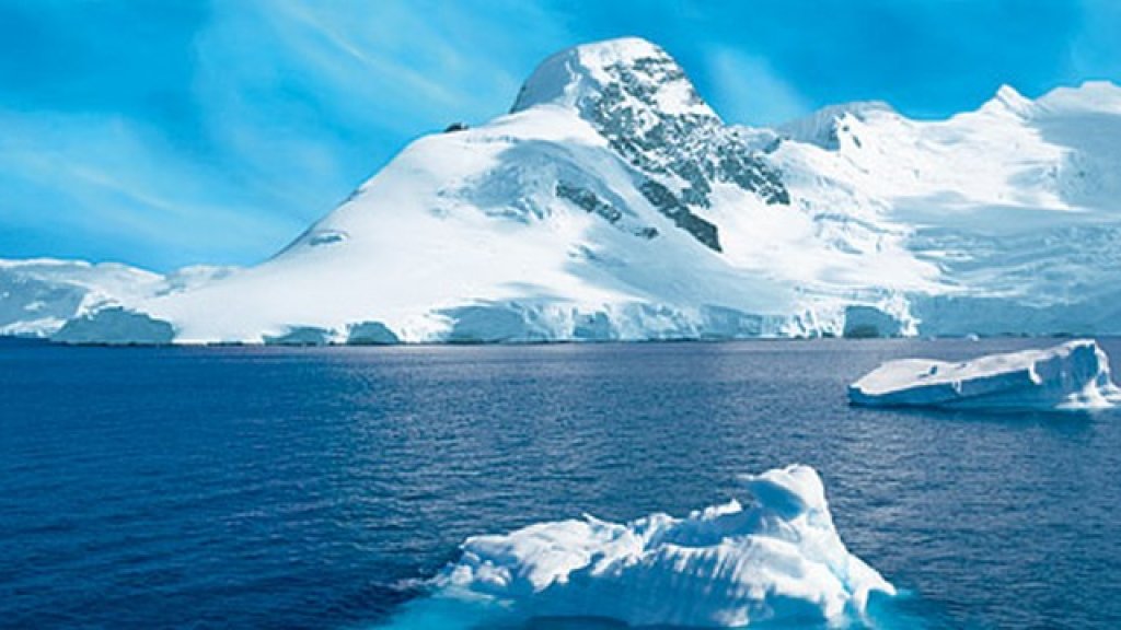 arctica