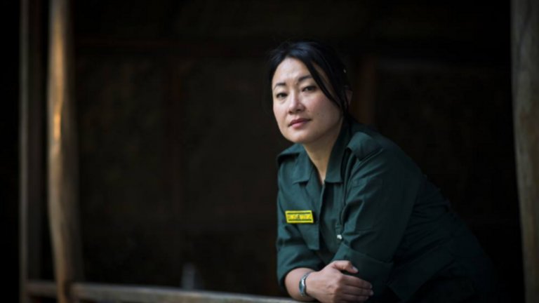 Жената, която гледа тигрите в очите