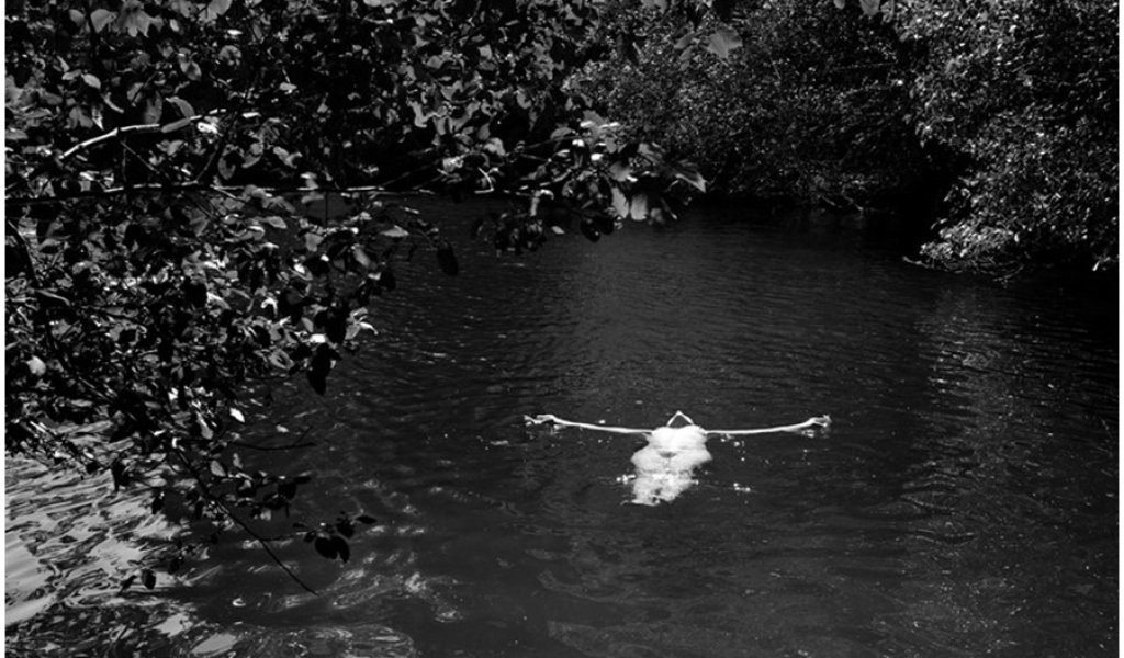 Франсис Макдорманд, Калифорния, 2009 г.