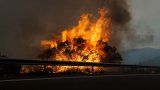 Рекордни жеги и пожари мъчат Западна Европа