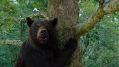 “Кокаиновата мечка”: Киномелезът на “Челюсти” и Соник Таралежа