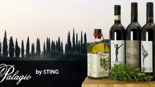 header_il-palagio-Sting