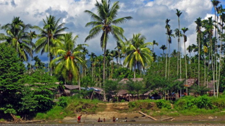 Кокода, Нова ГвинеяРайонът, който се разпростира на близо 100 километра в Папуа Нова Гвинея има изключително тежък климат. Това е влажна, коварна и пълна с насекоми територия, в която освен дехидратация, счупени кости и цял куп други болести, сте заплашени още и от атаки от страна на местните или от страна на укриващи се в джунглата пресъпници