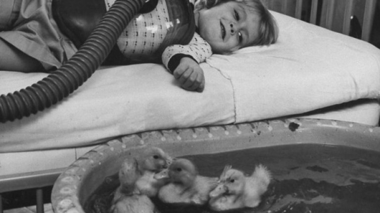 Патенца, използвани като част от медицинска терапия, 1956 година