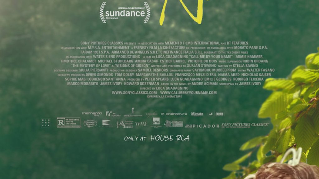 call_me_by_your_name___fanmade_poster_by_mintmovi3-dbihuml