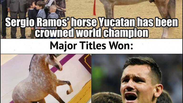 Спечелени титли:

Конят на Серхио Рамос - 1

Деян Ловрен - 0
