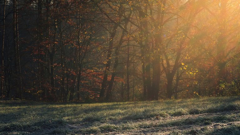 Максималните температури няма да се покачат над 13-18°