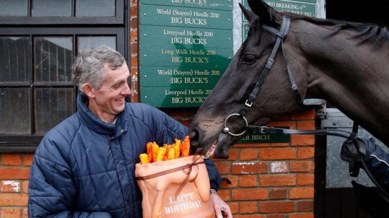 „А торта от моркови имате ли? Ма, тя много гадна, бе” – нещо, което конят Биг Бът не си помислил никога.