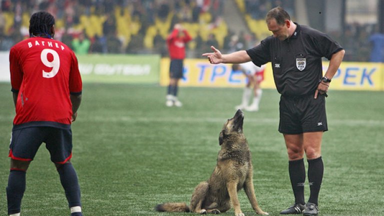 Съдиите понякога се озадачават, когато четириногите натрапници не изпълняват разпорежданията им.