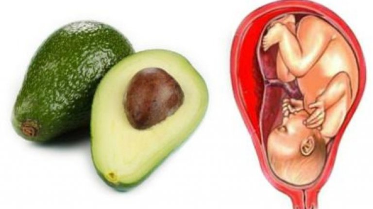 Авокадо: МаткаАво­ка­дото е изк­лю­чи­телно поле­зен зелен­чук за здра­вето и пра­вил­ното фун­к­ци­о­ни­ране на мат­ката и ший­ката на мат­ката. Той е с фор­мата на маточна шийка. Изс­лед­ва­ния доказ­ват, че бре­менна жена, която редовно при­ема аво­кадо, може по-лесно да балан­сира хор­мо­ните си, сва­ля­нето на излишно тегло и дори да пре­дот­в­рати рак на ший­ката на мат­ката. Инте­ре­сен факт е, че както на едно бебе му отнема 9 месеца, за да се раз­вие изцяло в утро­бата на май­ката, така и на аво­ка­дото му отнема 9 месеца докато се пре­върне от цвят в узрял плод.

Цитирано от: https://stanimirmihov.com/19-polezni-hrani-za-tqloto/