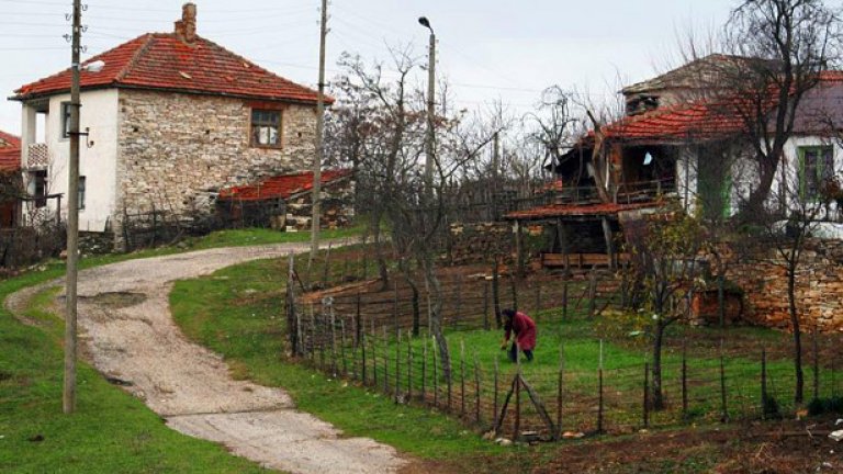 Баба ти на село - враг номер 1 на НАП