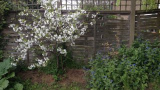 13780063604_58333afa39_b