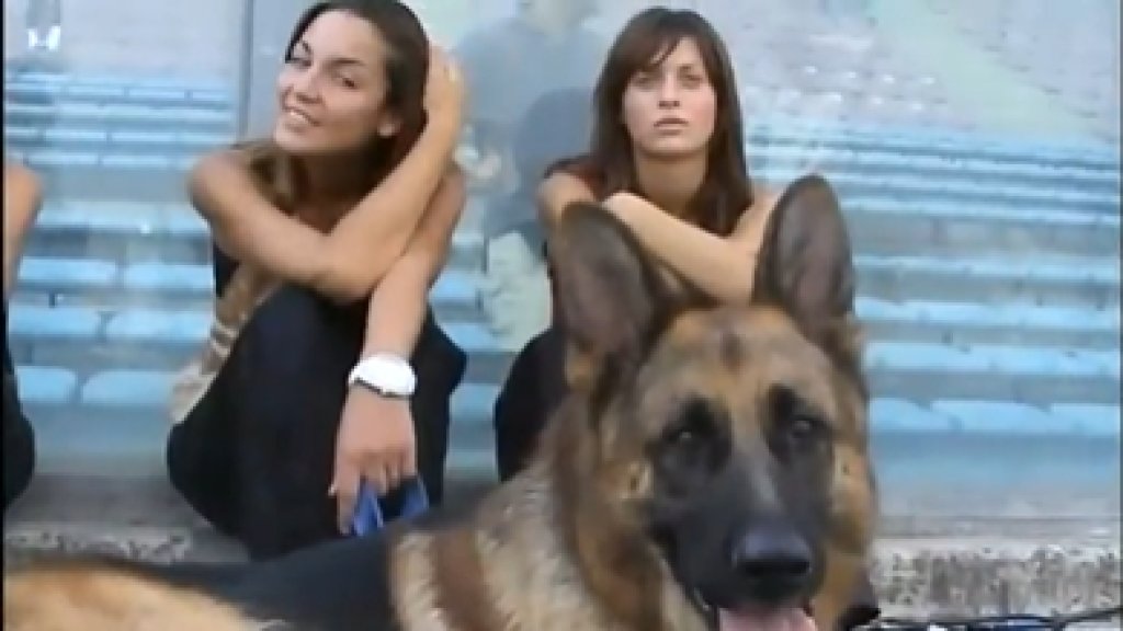 Gunther_the_dog_2021