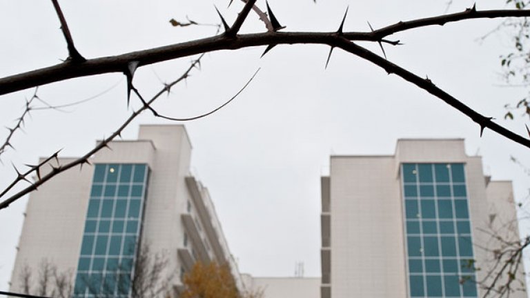 Повърви с нас по зелено. Идва асфалт