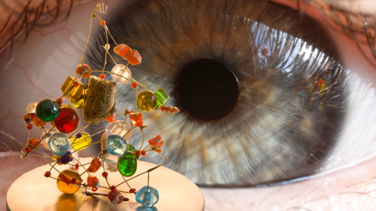 Денисовите хора будят силен интерес сред учените, защото са ново еволюционно звено