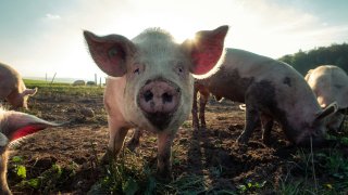 pascal-debrunner-b-zyMn_e_R4-unsplash