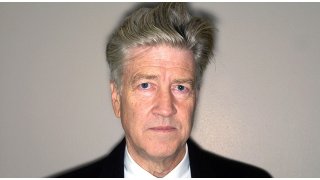 Lynch osnovna