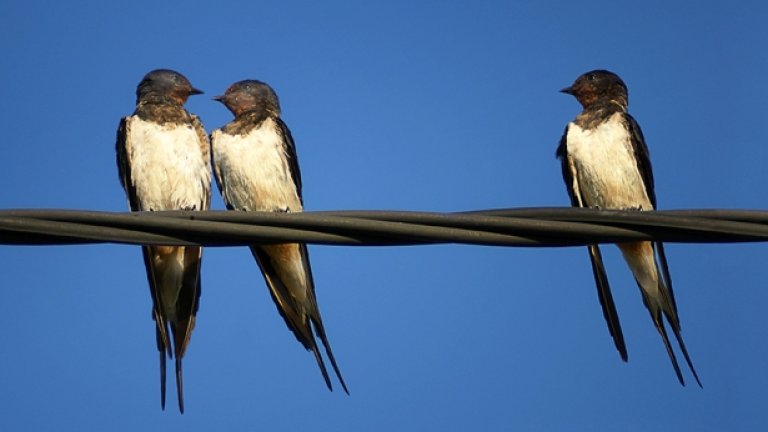 Hello, is it me you're looking for?...