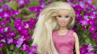Barbie с хронично заболяване е вече по магазините