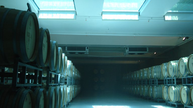 Проба за манталитета