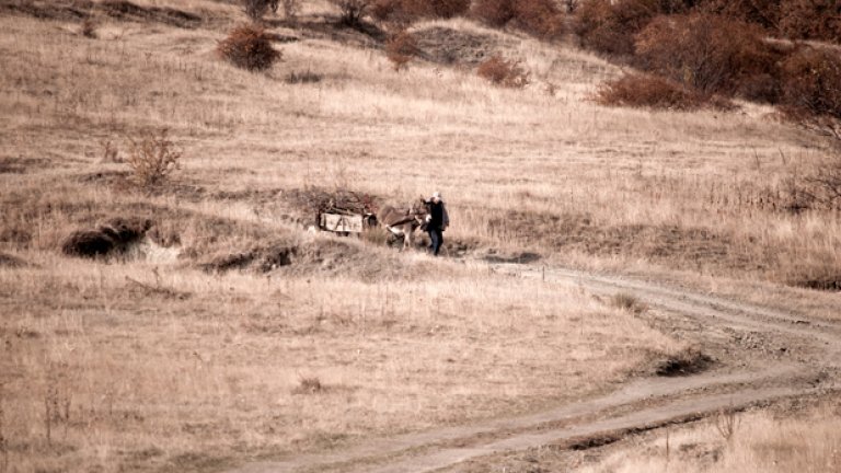 Всичко, от което се нуждаете