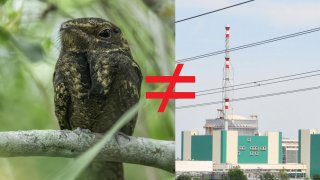 "Този език, който понякога извращаваме, а друг път браним до степен на извращение, уж съществува именно с цел да ни помага да създаваме връзки и пътища едни към други, а не да ги рушим", пише Лора Младенова в коментара си по повод 24 май.