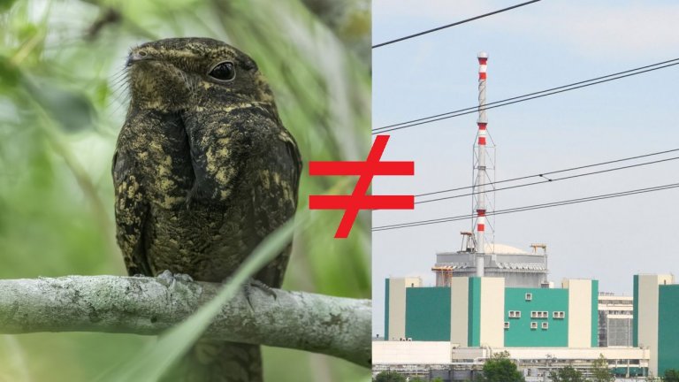 "Този език, който понякога извращаваме, а друг път браним до степен на извращение, уж съществува именно с цел да ни помага да създаваме връзки и пътища едни към други, а не да ги рушим", пише Лора Младенова в коментара си по повод 24 май.