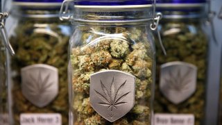 Legalizing Marijuana Denver