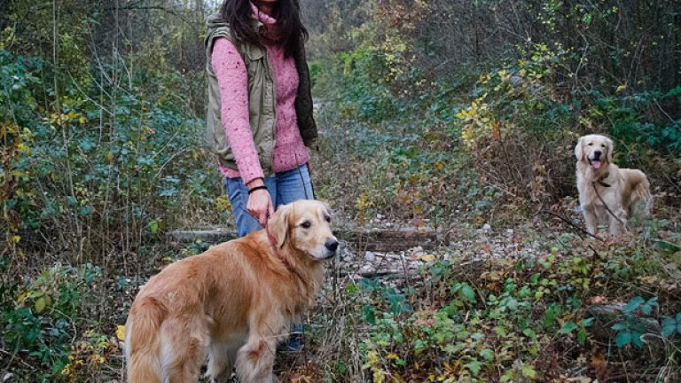 Повърви с нас по зелено. Идва асфалт