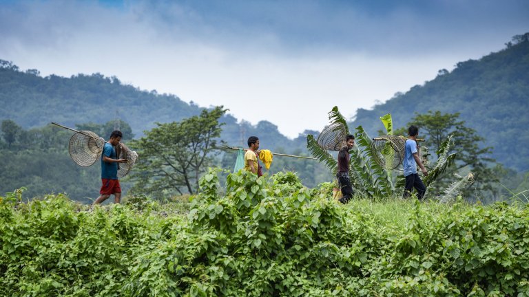 Пустинното село Пиплантри днес вече е оазис, където се води битка с жестокото неравенство между половете в Индия