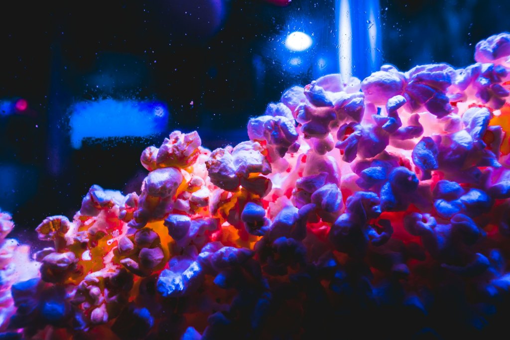 jacob-dalton-1sMDFBe5oOg-unsplash