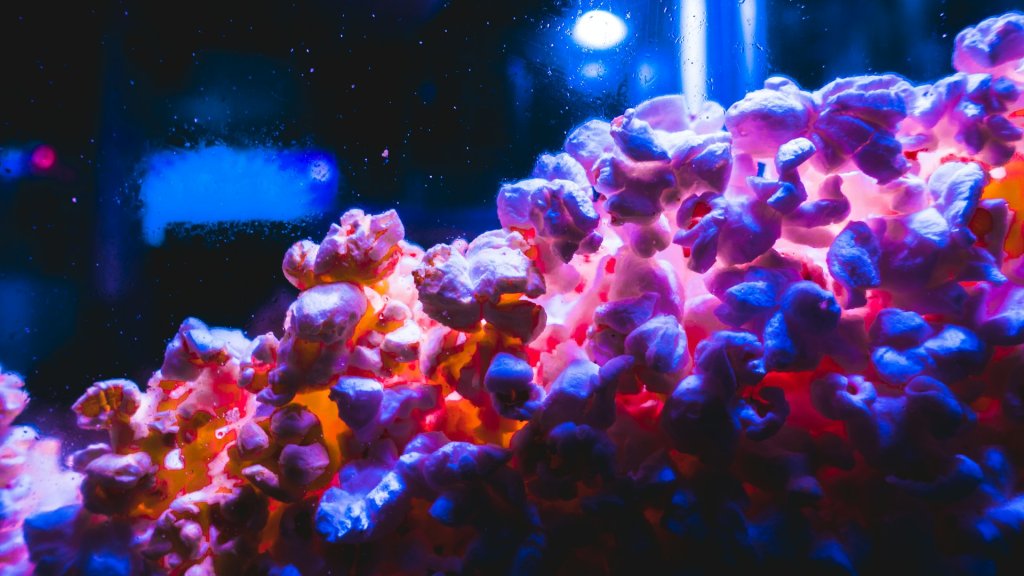 jacob-dalton-1sMDFBe5oOg-unsplash