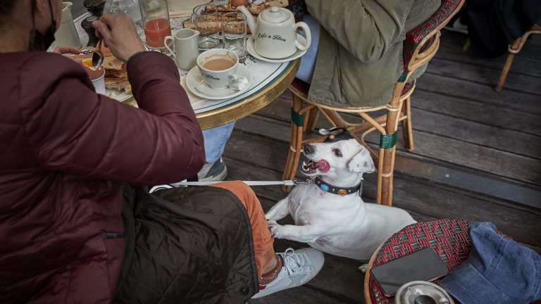За французите е важно продуктите да са качествени, а храненето - наслада.
