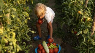 Селските истории на градски деца от 80-те и... на ChatGPT