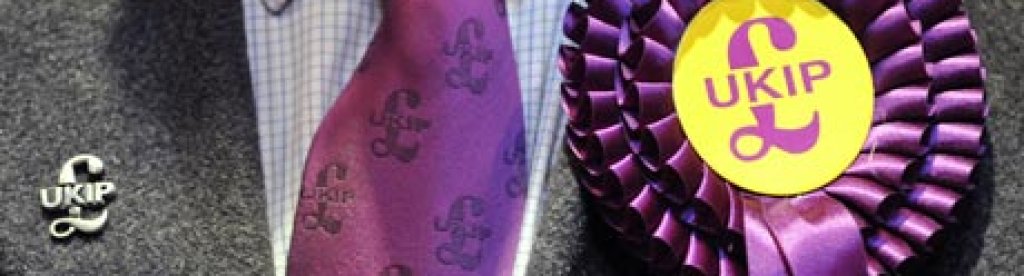 Close up of Ukip candidate's rosette
